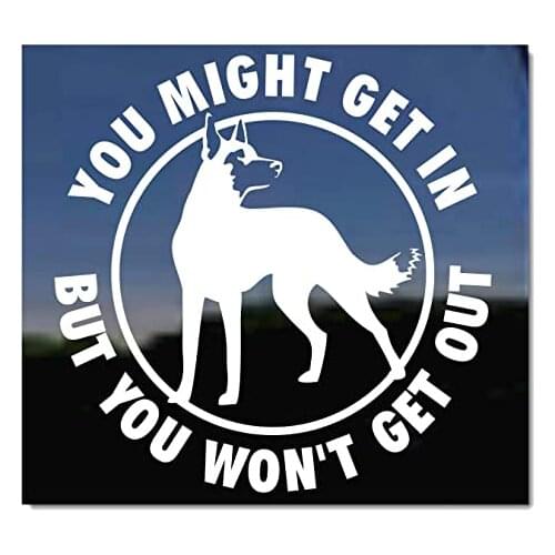YOU MIGHT GET IN Warning Belgian Malinois Vinyl Decal Car Stickers for Car-window Bumper Door Hood Wall Pet Dog Decor