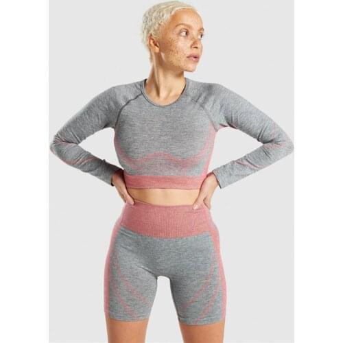 Seamless Yoga Set Women Athletic Crop Top Running Long Sleeve Shorts Sportwear Workout Outfit Fitness Gym Suit Clothing