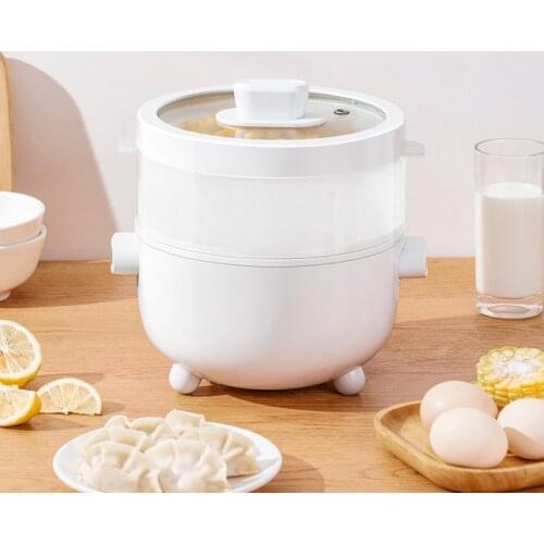 Electric Hot Pot 2-3 People Multi-functional Electric Cooker Dormitory Students Household Noodles 2L Small Hot Pot 220V