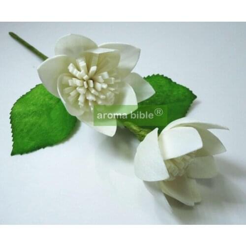 1000 pcs /lot Handmade sola wood flowers for fragrance diffuser and home decor with 12cm Rope or rattan reed sticks Top quality