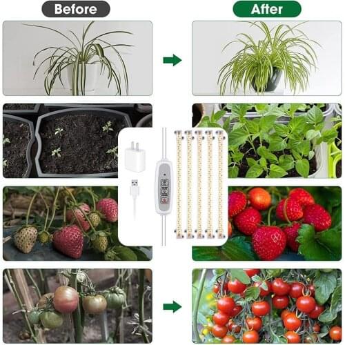 Профессиональное освещение / China At AliExpress