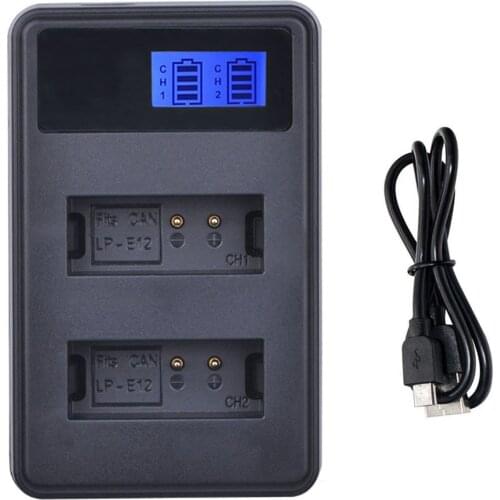 Battery Charger for Sony Cyber-shot DSC-RX100 V, DSC-RX100 VA, DSC-WX300, DSC-WX350,DSC-WX500,DSC-WX700,DSC-WX800 Digital Camera