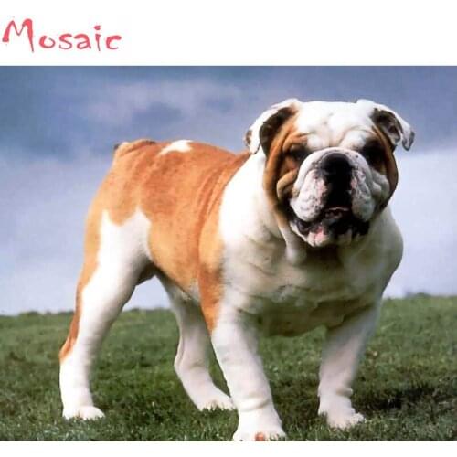 English Bulldog,animal dog,Diamond Painting,Diamond Embroidery Cross Stitch,5D,Square,Rhinestone,Mosaic,DIY,Christmas gift