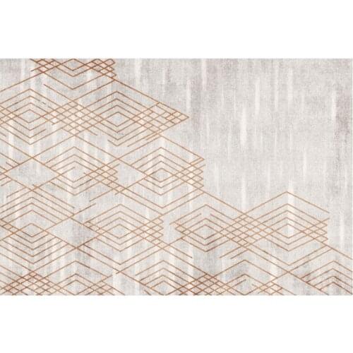 Bedroom Nordic Big Carpet Decorate Big Carpet Floor Mat Large Area Rug for Living Room Washable, 120cm×160cm
