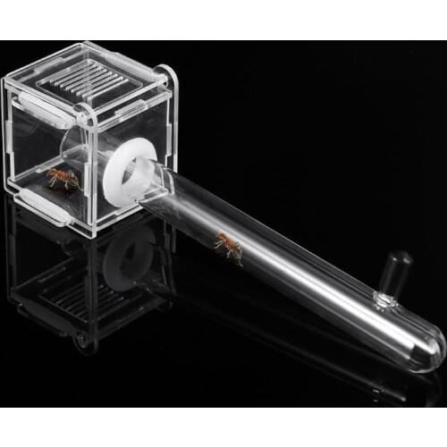 Y1UD Ant Nest Glass Tube Mini Ant Nest with Active Zone Insect House Acrylic Ant Farm