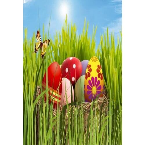 TR 2019 new spring easter photography backdrops basket eggs new born baby children photographic background Easter Day background