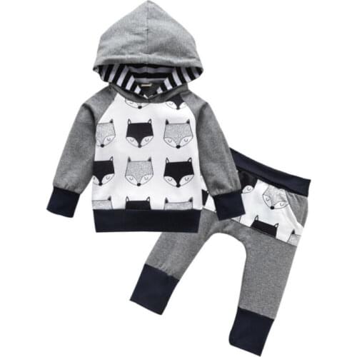 0-4 Years Infant Baby Boy Clothes Foxes Print Hooded Sweatshirt Tops Leggings Pants Set Baby Boys Autumn Cotton Active Outfits