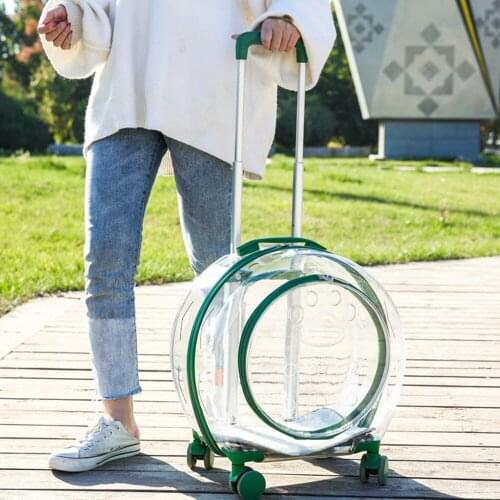 Habedi Carrying Bags For Cats