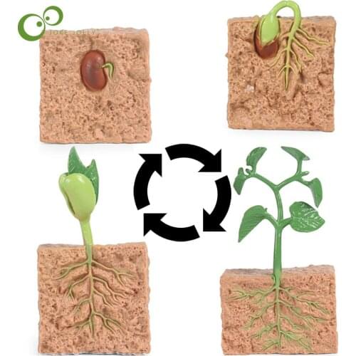 JOKEJOLLY Biology Textbooks