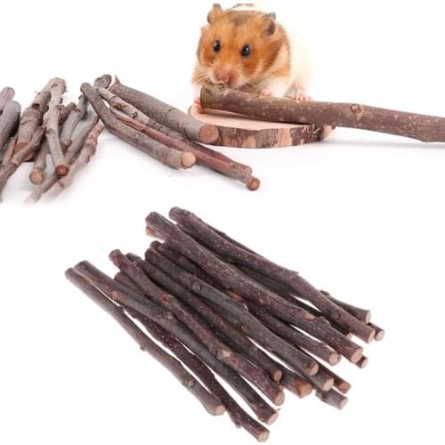 5pcs Chew Stick Apple Tree Branch Hamster Squirrel Natural Toys Parrots Rabbits