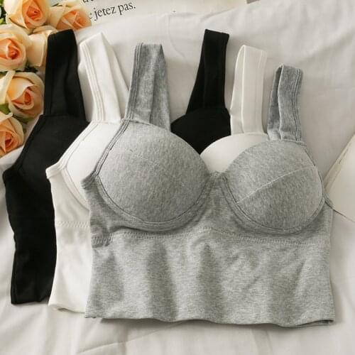 Dancing JL Ants Womens Tops