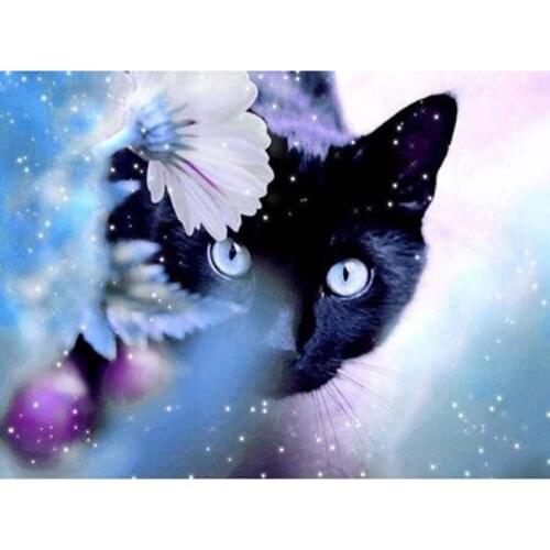 5D DIY Diamond Painting Black Cat Full Square/ Round Diamond embroidery Cross stitch Diamond crystal Wall Painting