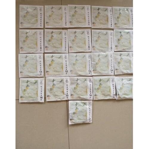 Chinese folk instrumentsZither strings guzheng string 1-21 0812 - spare stringed