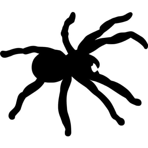 MIGNATIS - Spider Sticking Right Moving Ant Seeking Mural Art Decal For Car Window Loptop Decoration Vinyl Stickers Waterproof S