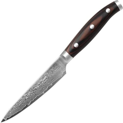 NANHAIONE 5 Inch 67 Layers Damascus Steel Kitchen Knives Chef Knife Pakka Wood Handle Utility Knives CL-F120