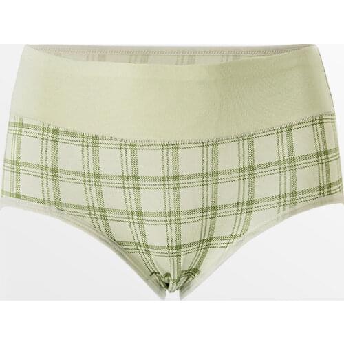 4Pcs/Set Sexy Women Panties Green Cotton Brief Underwears For Women Underwear Set High Waist Panties Plus Size