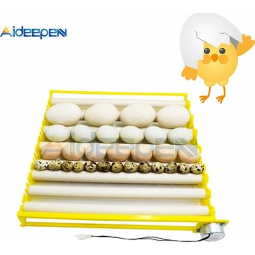 1 Set 360° Automatic Rotary Egg Turner Roller Tray 110V 220V Eggs Incubator Accessories Roller Pattern Egg Turner Tray 42 Eggs