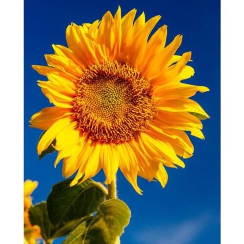 Декоративные вазы Love·Thanks China At AliExpress