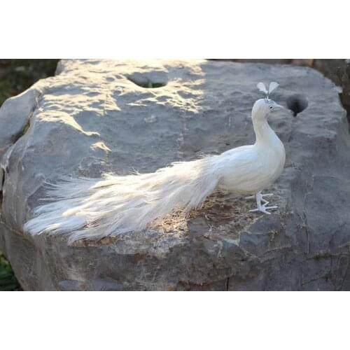 Cute real life white peacock model foam&feather beautiful peacock bird gift about 60cm XD0074