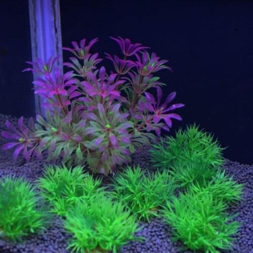 1PCS Artificial Plastic Water Plant Grass Aquarium Decorations Plants Fish Tank Grass Flower Ornament Decor Aquatic Accessories