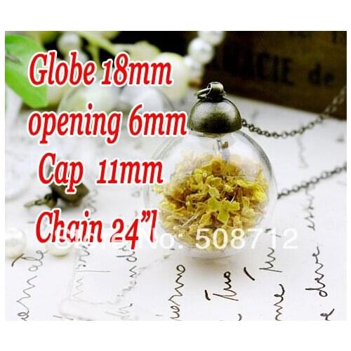 20sets 18mm Clear Glass Globe Bottle Pendant opening 6mm & Bronze Necklace & 11mm Bronze cap