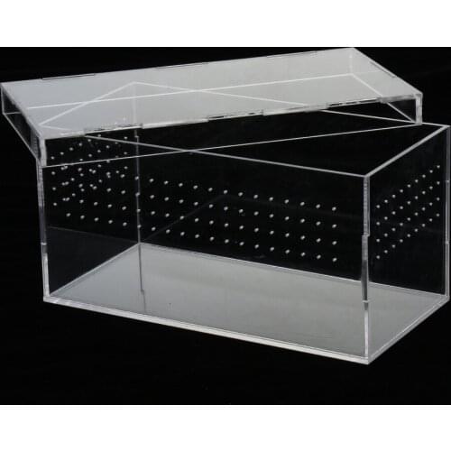 Acrylic Reptile Terrariums Plant Feeding Tank for Lizard Insect Spiders Breeding Box Transparent