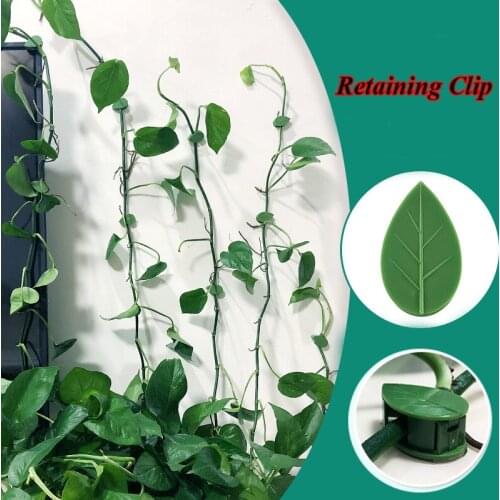 10pcs Plant Fixture Clip Plant Climbing Wall Self-Adhesive Fastener Tied Fixture Vine Buckle Hook Garden Plant Wall Climbing