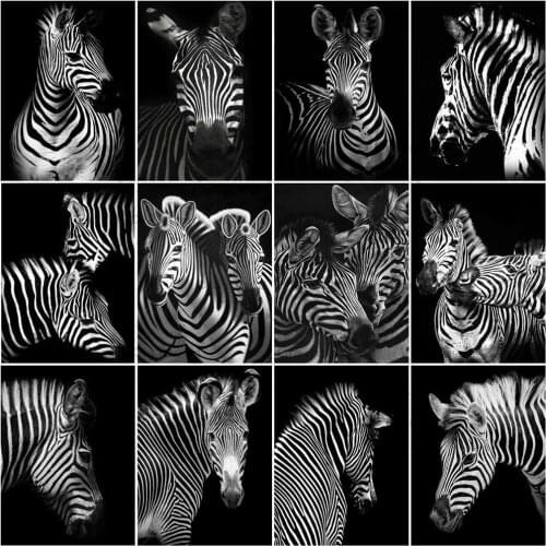 DIY Diamond Painting Zebra Full Square/Round Picture Of Rhinestone Cross Stitch Horse 5D Mosaic Diamond Animal Wall Art Poster