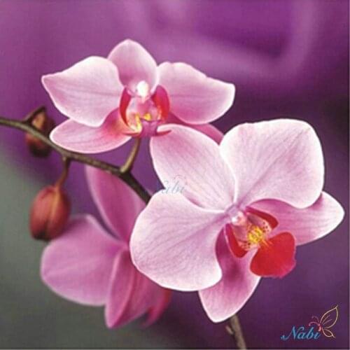 Diamant painting Handmade needlework diy diamond painting kits diamond embroidery plant full rhinestone Pink orchid cross