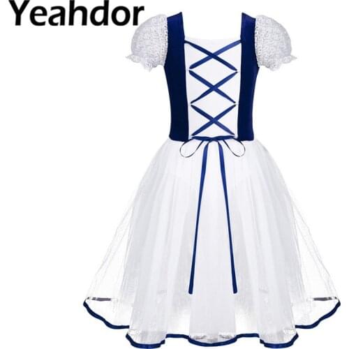 Kids Girls Bubble Sleeve Velvet Mesh Lacework Professional Ballet Tutu Dress Ballet Dance Girls Gymnastics Leotard Dance Dress