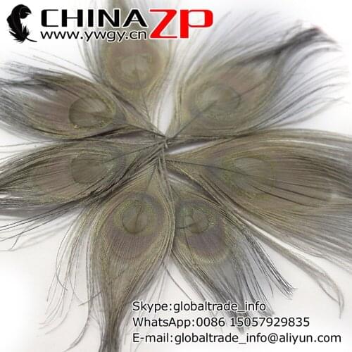 CHINAZP Factory 100pcs/lot Size 10-12cm Top Quality Natural Dyed Grey Trimmed Peacock Feathers