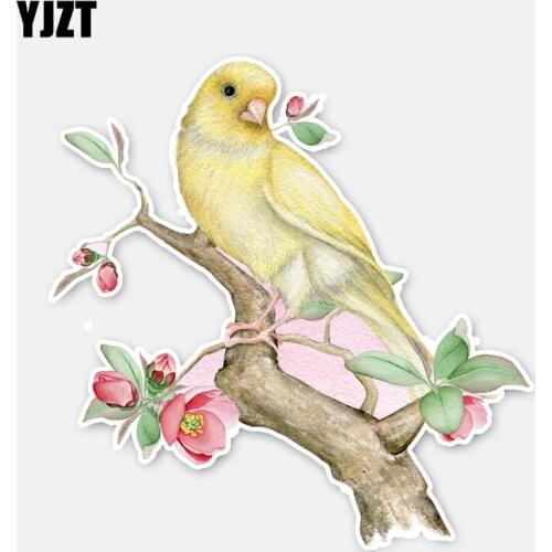 YJZT 14.2*14.5CM Lovely Creative Parrot Decor Car Sticker Accessories Personalized Graphic 11A0419