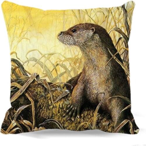 A forgotten large rat of Square Cotton polyester soft cushion cover for Home car sofa chair decorative