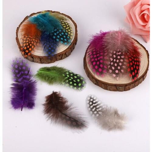 50Pcs Loose Natural Dyed Guinea Fowl Feather Spotted Pheasant Plumes DIY Decoration Accessories