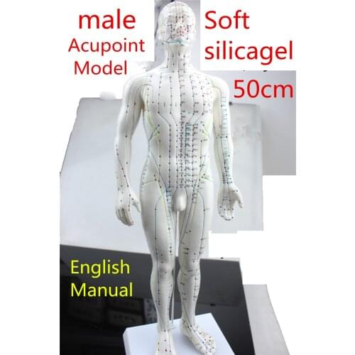 HD Soft silicagel Acupuncture Model 50cm male with Base Human acupuncture meridians model Acupoint Model Acupuncture massage