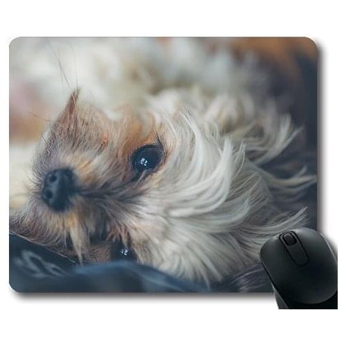 Dogs puppies pets Mouse Pads,Dog Pet Animal Cute Puppy Canine Happy Happy Dog,dogs mouse mat