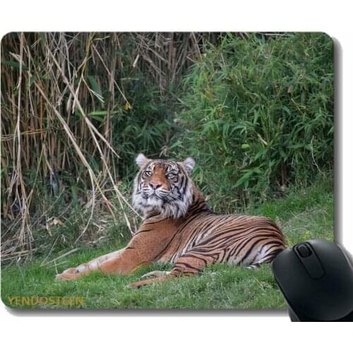 Colors Gaming Mouse Pad Custom Design Mat,Tiger Predator Big Cat 188478 Mouse Pad With Stitched Edge
