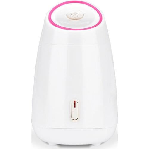 Fruit Vegetable Facial Steamer Household SPA Beauty Instrument Nano Ionic Humidifier Facial Steamer Sprayer Moisturing Machine