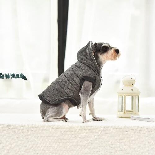 Lanke Winter Pet Dog Clothes Moustache, Cute Dogs Hoodie Coat, Jacket Cotton for Small Dog and Cat, French Bulldog Clothing