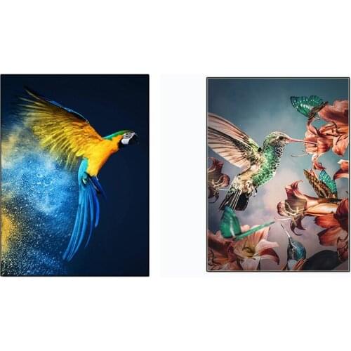 Abstract Colorful Animal Bird Canvas Painting Wall Art Parrot Hummingbird Picture Posters Print Wallpaper Living Room Decoration