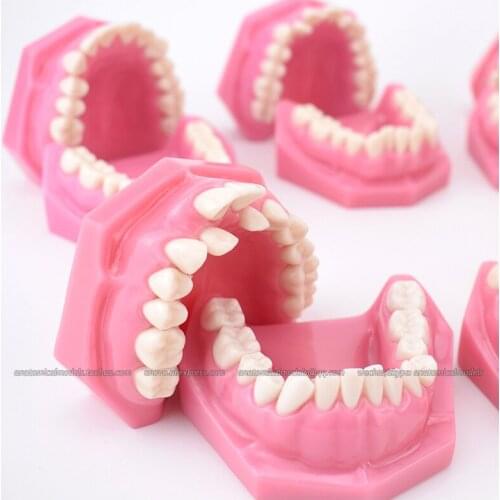 CMAM/12628 Dental Typodont Model, Classification of Angles Malocclusion, 10pcs/set