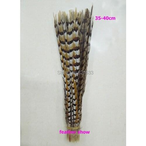 50Pcs/lot!14-16inches 35-40cm long Feather Pheasant Venery Reeve - Craft Millinery Fly Fishing,feathers