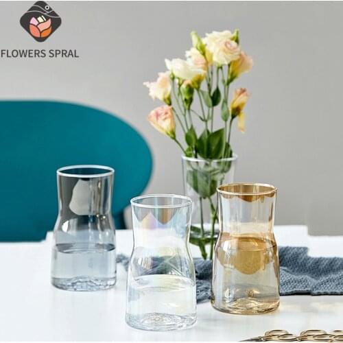 Transparent Glass Vase Creative Hydroponic Vase Nordic Living Room Office Cafe Hotel Desktop Vase Decoration Christmas Gift