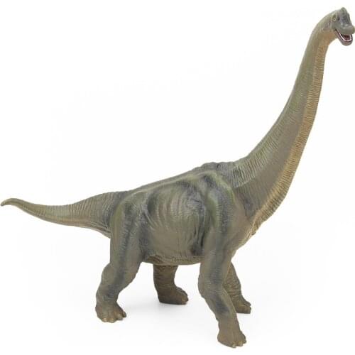 Realistic Brachiosaurus dinosaur models Toys Hobbies Action Toy Figures