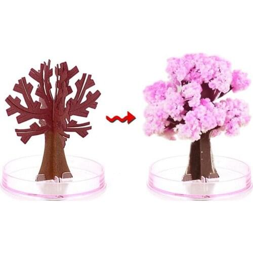 Decompression Magic Cherry Blossom Little Princess Christmas Tree Paper Flowering Experiment Desktop Adult Pressure Reduction