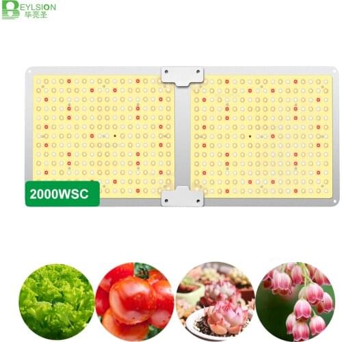 BEYLSION 2000WSC Dimmable Quantum Board Phytolamp LED Plant Box Light Grow Board Quantum For Hydroponic System Growing Plants