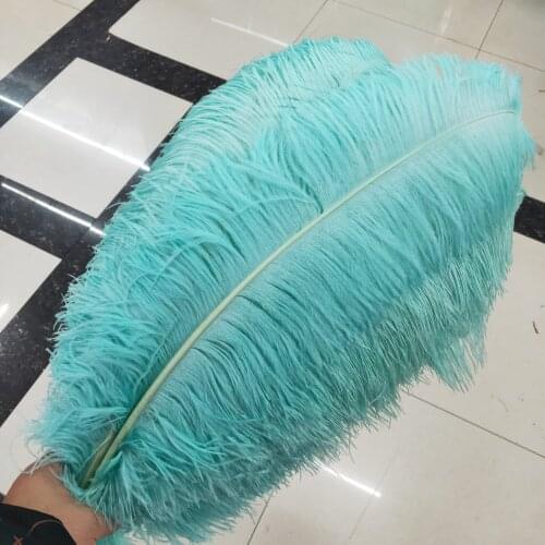 Wholesale 100pcs/lot light green Ostrich Feather 45-50cm/18-20inch Christmas Home celebration Party DIY Decoration plume