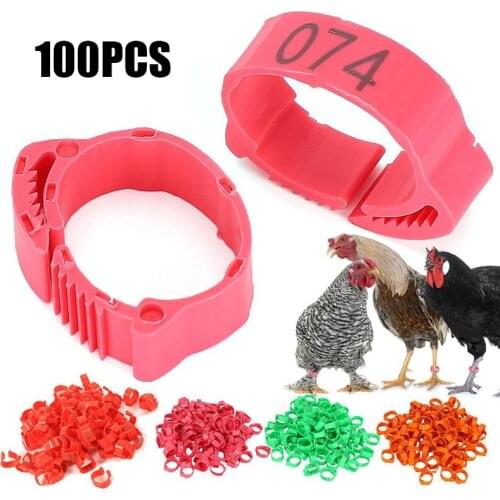 100Pcs Chicken Leg Poultry Duck Goose Rings Band Foot Clip Rings Inner Diameter 16mm Farm Supplies Appliances Chicken Accessory