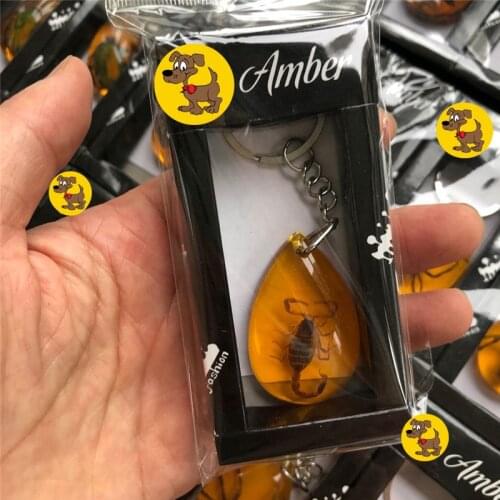 Natural Resin Amber Key Pendant Resin Insect Specimen Scorpion Butterfly Spider Amber Key Chain Jewelry Gifts for Women Men