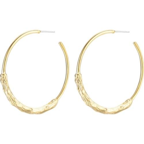 Big Hoops Earrings New For Women Fashion Statement Trendy 2021 New Circle Party Loop Earings Large Hoop Earring